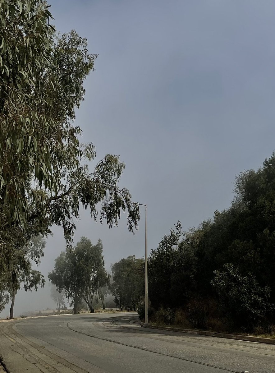 TT (@boo___o) on Twitter photo 