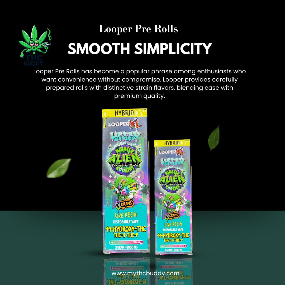 mythcbuddy's tweet image. Looper Pre Rolls has become a popular phrase among enthusiasts who want convenience without compromise. Looper provides carefully prepared rolls with distinctive strain flavors, blending ease with premium quality. 
#LooperPreRolls #CannabisEase #SimpleChoice #MyTHCBuddy