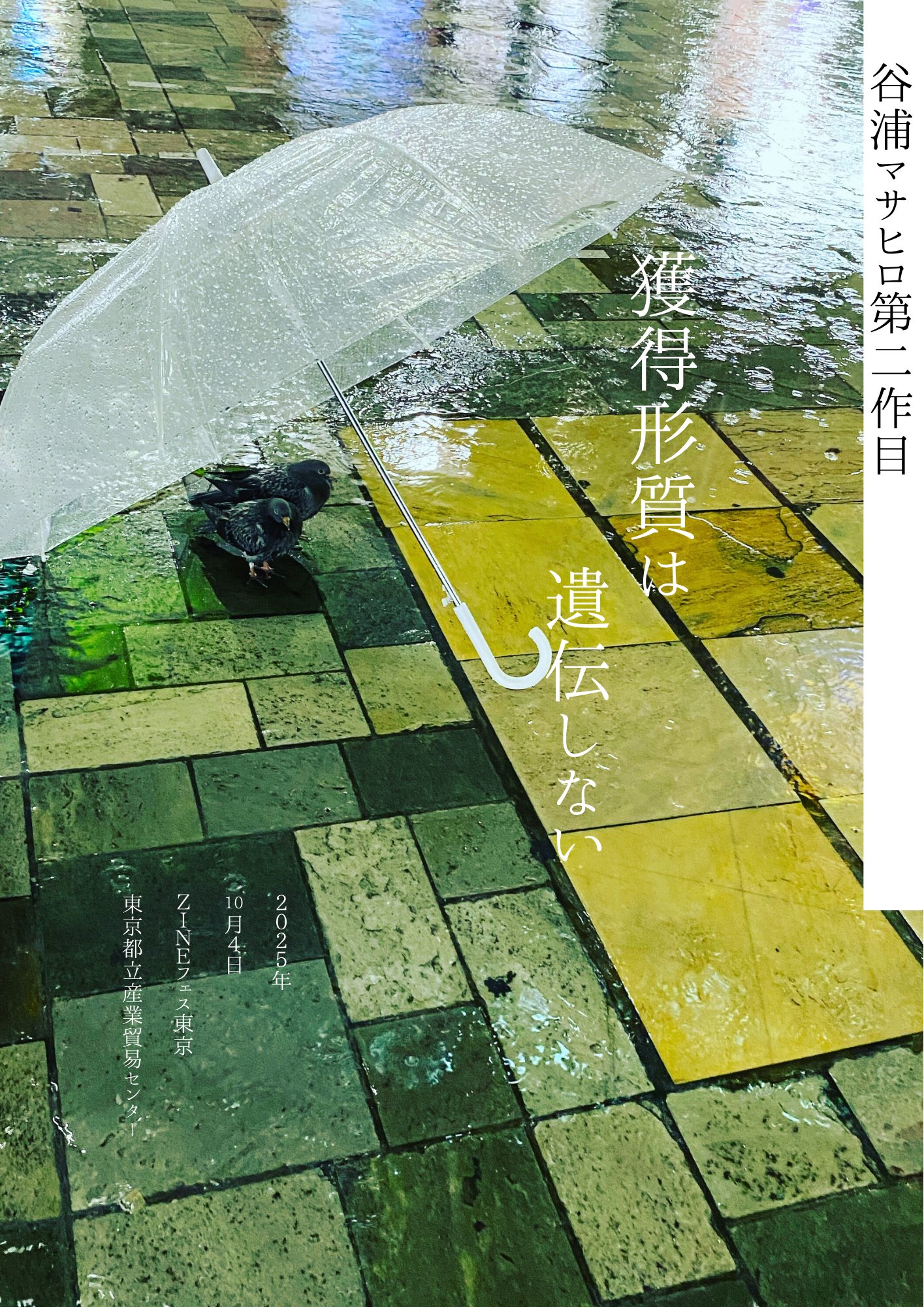 ユーフェス東京専用出品 AZONE INTERNATIONAL::えっくす☆きゅーと::商品詳細