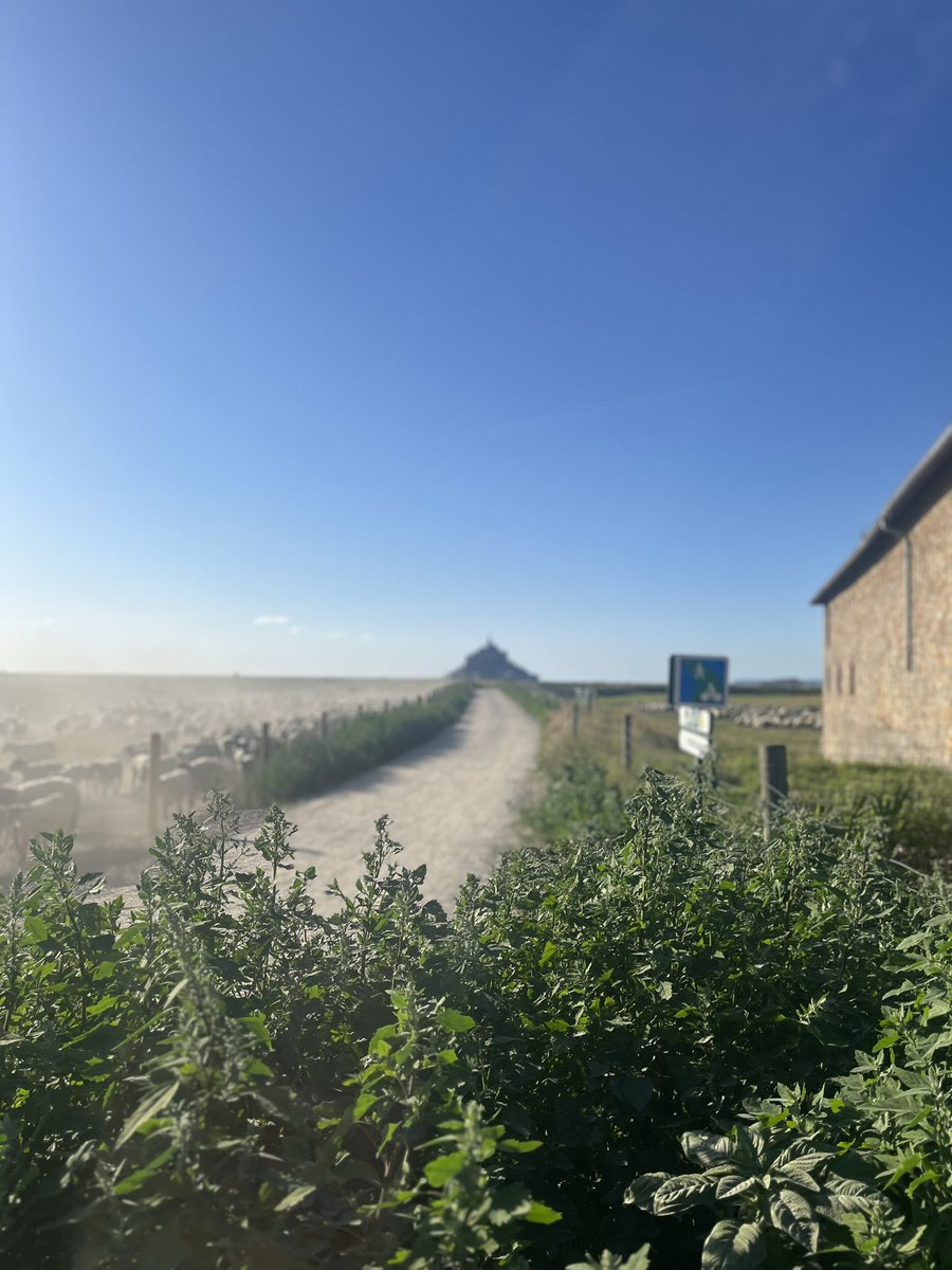 Julien Thierry tweet media