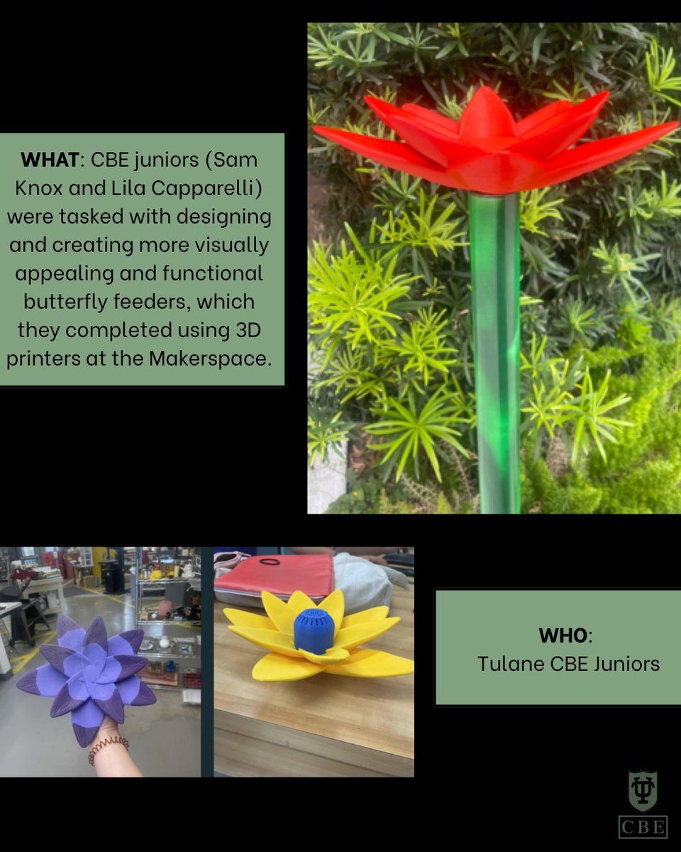 Tulane CBE juniors Sam Knox &amp; Lila Capparelli brought design &amp; engineering together to create 3D-printed butterfly feeders for the Audubon Aquarium. 🦋 A perfect blend of STEM &amp; service! #TulaneCBE #Makerspace #ServiceLearning
