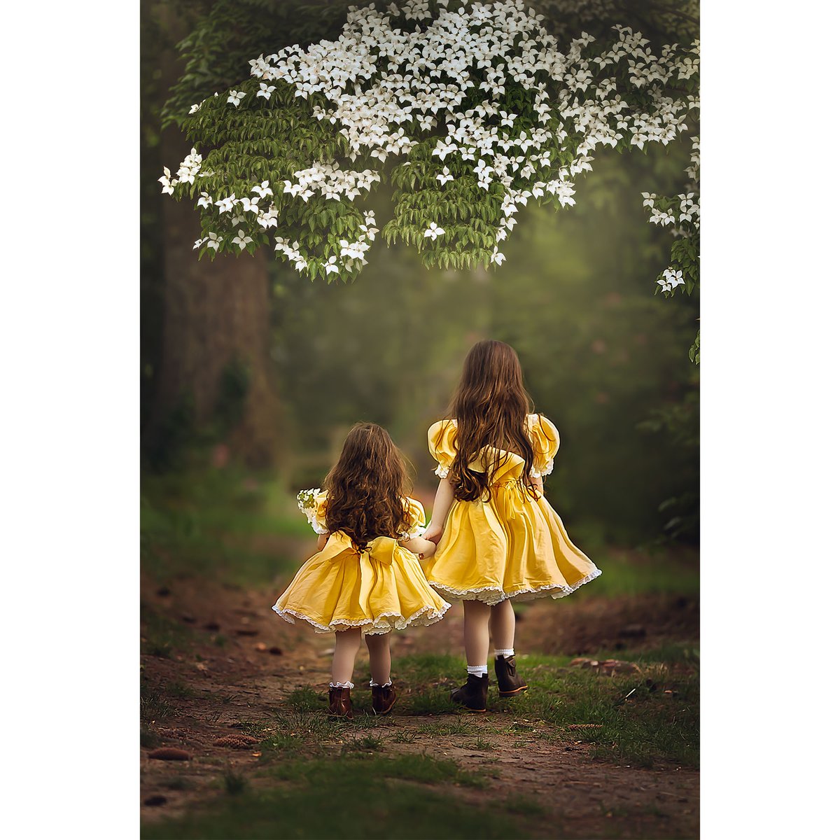 SchoolofPhot0's tweet photo. Save 20% on all Online Courses, including our Fine Art Family Portraiture Course or our Yearly Membership in our Summer Sale. Use code SUMMER25 at checkout. Link below 🔽 Ending Soon ⏰

https://t.co/AjhljzkU02

📸 Sujata Setia @sujatasetia @butnaturalphotography https://t.co/7zXXUQNINQ
