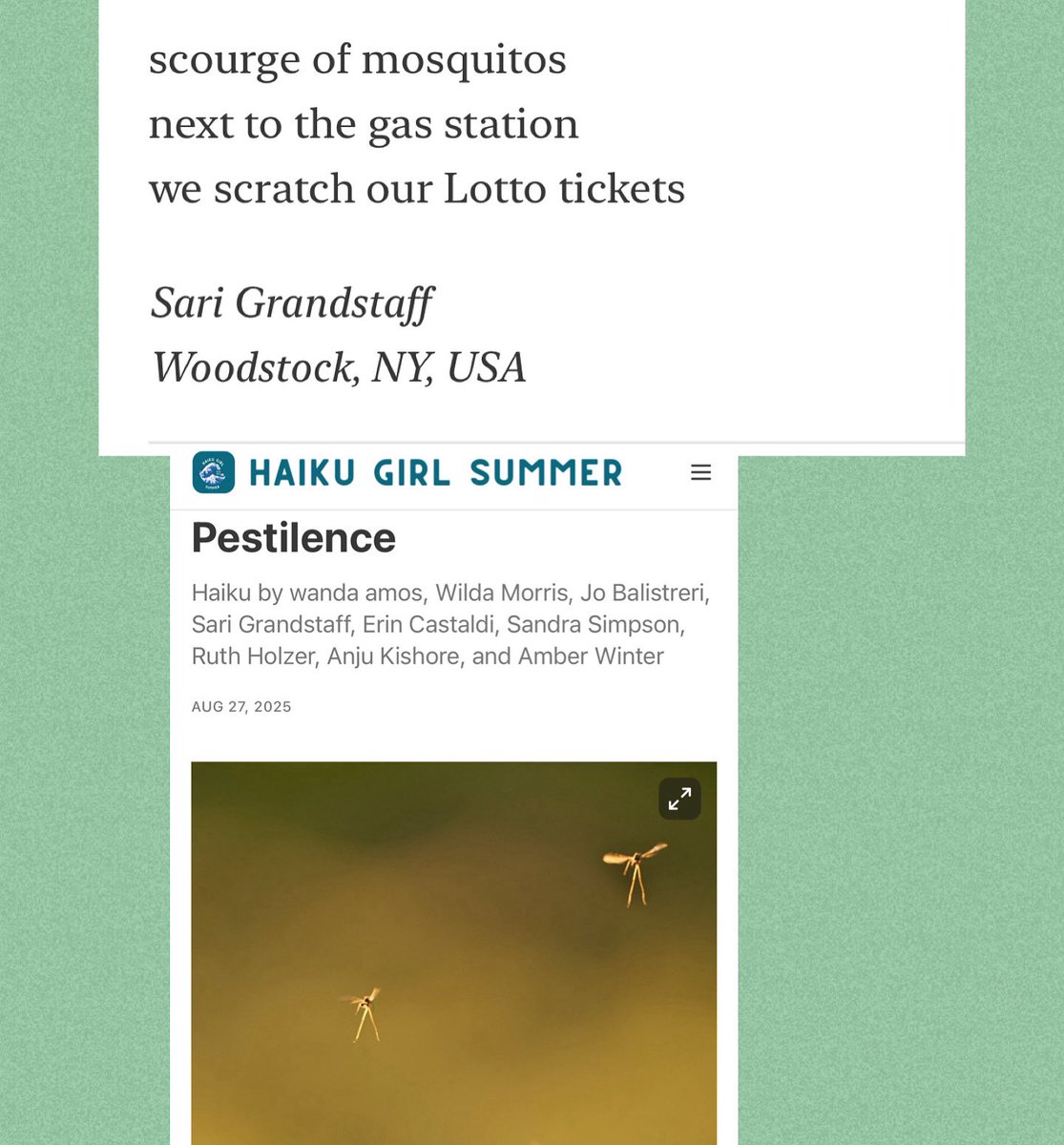 Haikutopia's tweet photo. Very excited to participate in Haiku Girl Summer today thanks to Allyson Whipple. @Haikutopia @hsa_haiku #haikugirlsummer https://t.co/GzNSCtC2pG