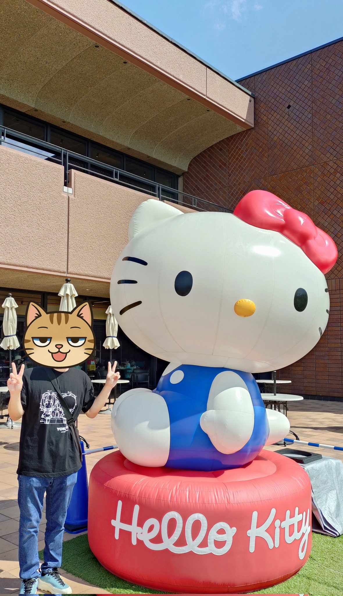 キティちゃん　轟 超合金 ハローキティ（あお） | 魂ウェブ
