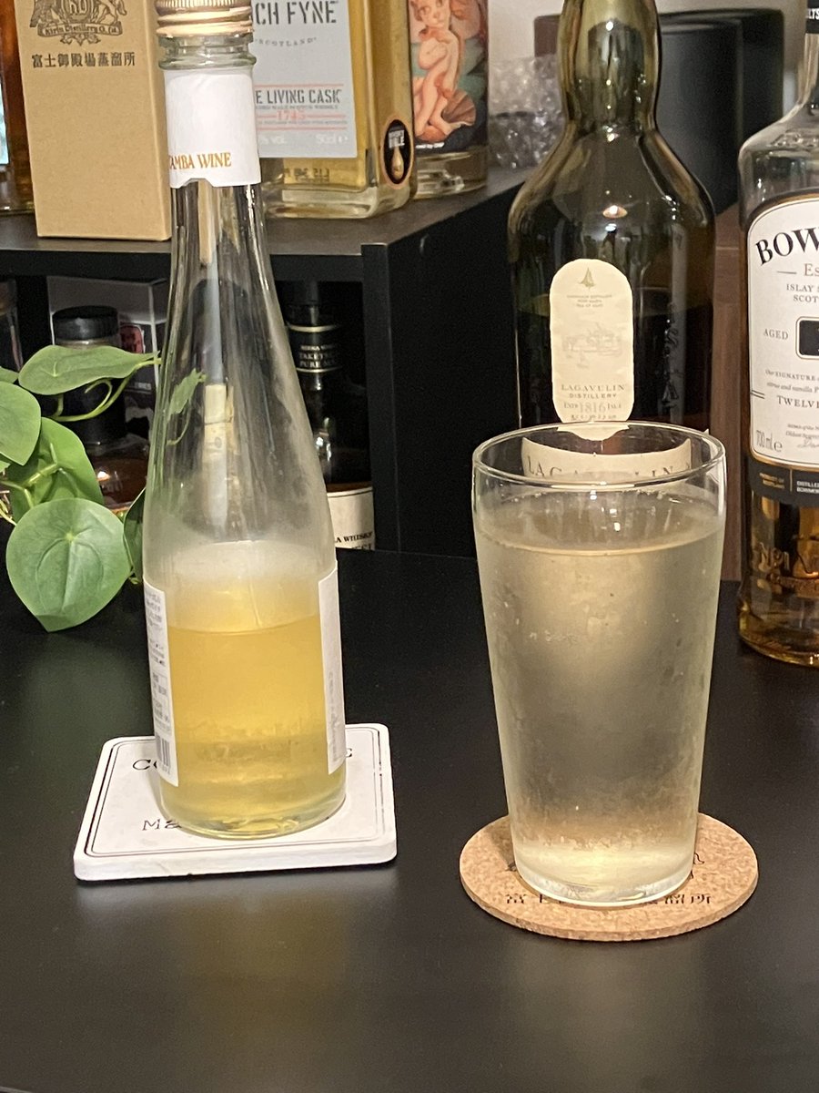 緊急避難完了。
なんだか疲れてしまったので、後片付けは寝る前にまとめてやります(フラグ)