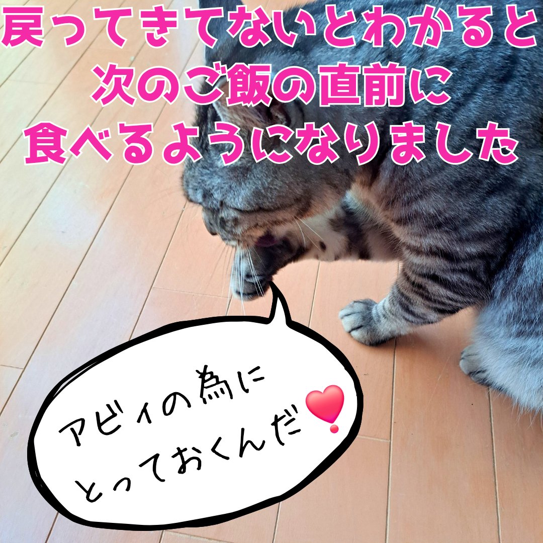 ピーちゃんmama🐩🎶🤍 (@P__chan_mama) / X