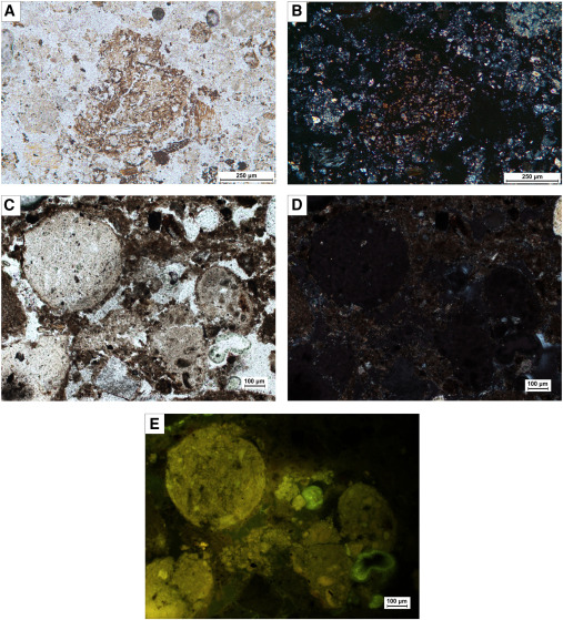 AMBI Lab tweet media