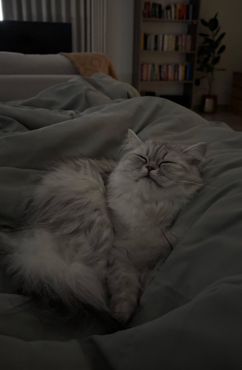 ممنوع احرك رجلي الين تقوم