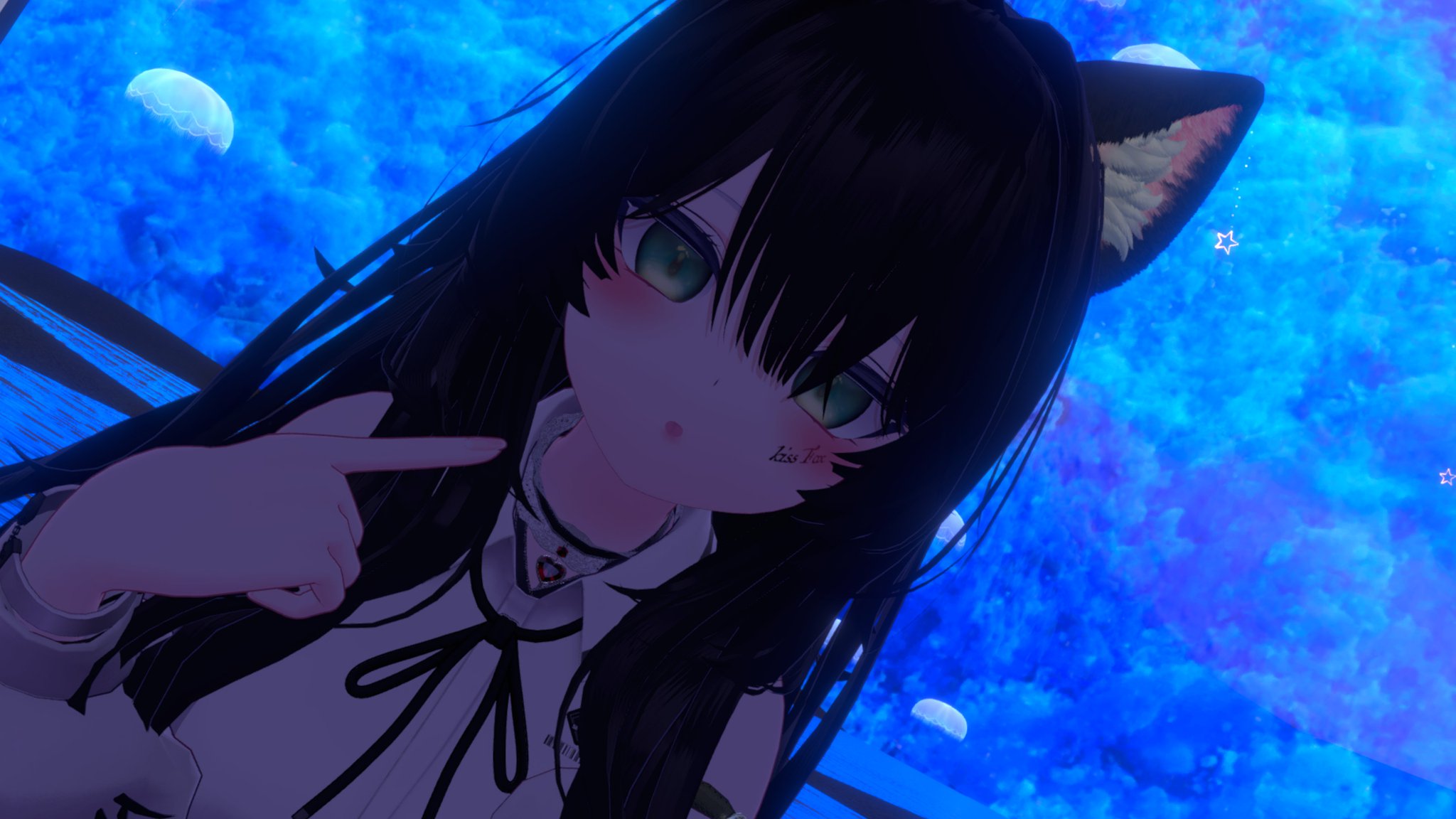 たぬき みぜっと on X: 