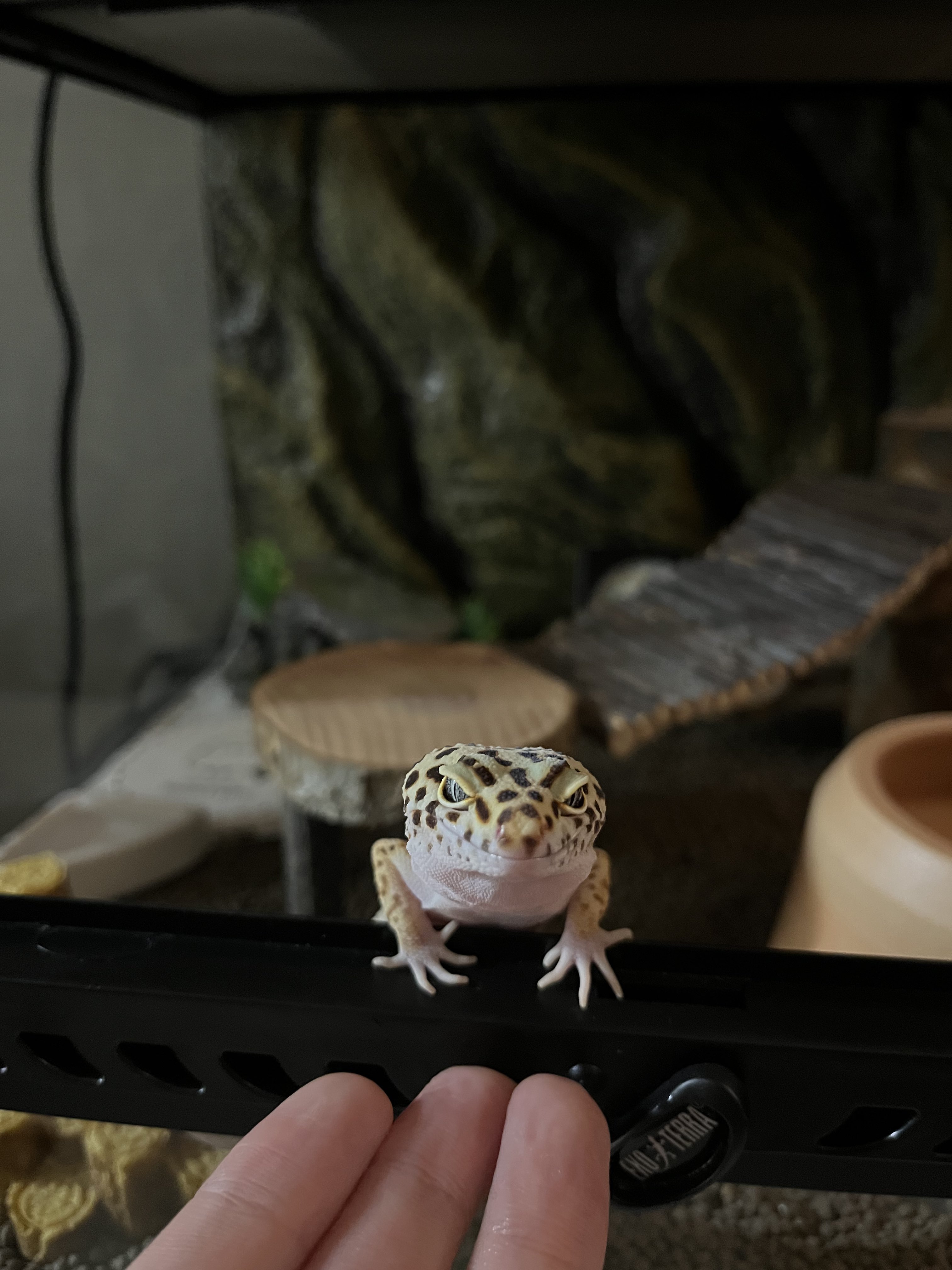 そらまる - Search / X