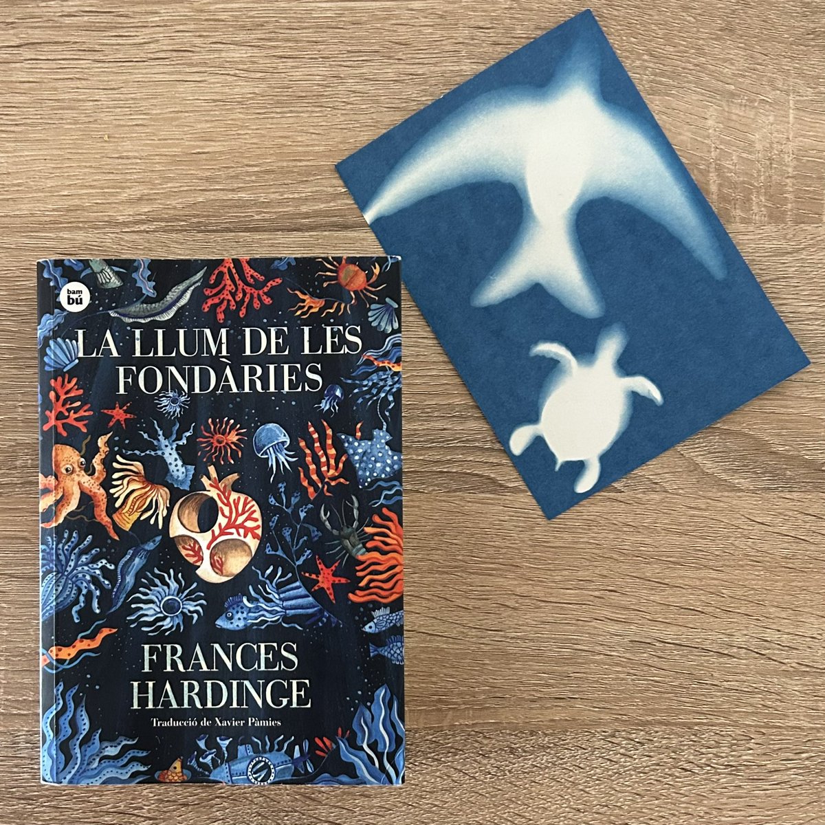 'Ningú vol que els seus records es perdin. I mentre els tenim vius els aboquem a l'orella dels més joves, tant si ells volen com si no.'

Quin gran relat he descobert en el Sotamar de 📚LA LLUM DE LES FONDÀRIES
✍️<a href="/FrancesHardinge/">Frances Hardinge</a>
#EditorialBambú
<a href="/EditorialCasals/">EditorialCasals</a> 
<a href="/mmontsemartins/">Montse Martín</a>