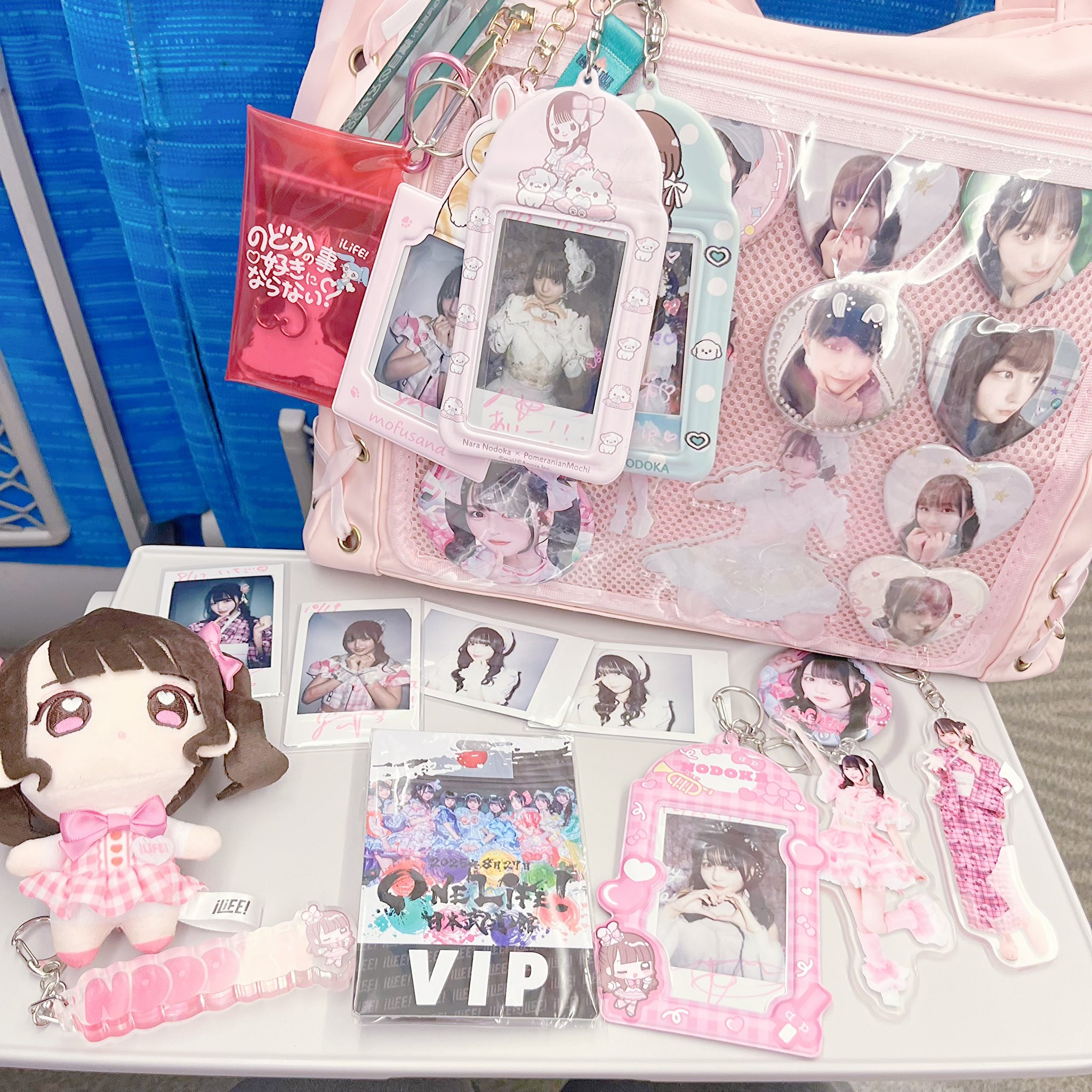 iLiFE! 那蘭のどか 推しぬいマスコット 武道館　ONELiFE! iLife 那蘭のどか 推しぬい 武道館 ONELIFE! - メルカリ