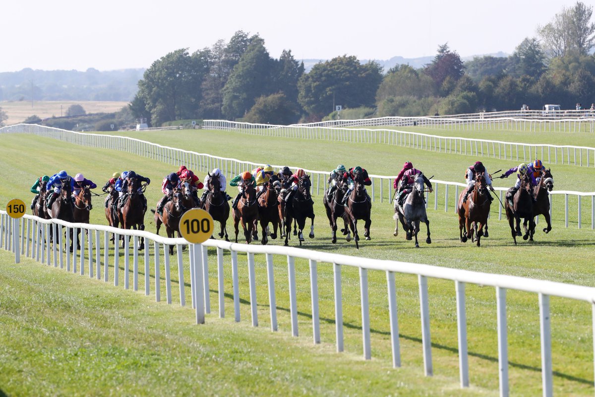Weekender (@rpweekender) on Twitter photo 🇮🇪 "She's clearly thriving and another step forward would give her every chance of taking out a sub-par running of this historic prize."
It's the Irish Cambridgeshire at the Curragh on Saturday and in-form Irish tipster <a href="/robbiewilders/">Robbie Wilders</a> has a strong each-way fancy for the race 👀 🇮🇪 "She's clearly thriving and another step forward would give her every chance of taking out a sub-par running of this historic prize."
It's the Irish Cambridgeshire at the Curragh on Saturday and in-form Irish tipster <a href="/robbiewilders/">Robbie Wilders</a> has a strong each-way fancy for the race 👀