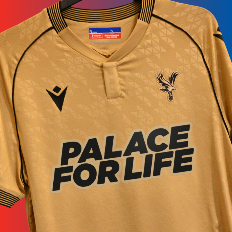 PalaceForLife's tweet photo. We are extremely proud to be unveiled on the front of the shirt for @CPFC's European fixture against Fredrikstad this Thursday! 

Donate today to support our work with young people in south London ❤️💙