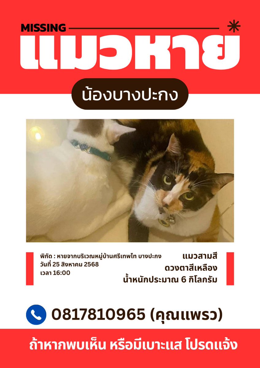 Ploy_PhatcharaphanPPLE (@ployphatcha15) on Twitter photo ขออนุญาตใช้พื้นที่ตรงนี้ตามหาแมวนะคะ โดยเป็นแมวของ <a href="/Jirat_MP/">จิรัฏฐ์ ทองสุวรรณ์</a> พี่ซันก็ออกตามหามา 2 วันแล้ว ท่านใดพบเจอก็แจ้งเบาะแสมาได้นะคะ 🧡 /เห็นฝนตกแบบนี้ด้วยพลอยใจบาง.. ภาวนาให้เจอน้องไวๆ ขออนุญาตใช้พื้นที่ตรงนี้ตามหาแมวนะคะ โดยเป็นแมวของ <a href="/Jirat_MP/">จิรัฏฐ์ ทองสุวรรณ์</a> พี่ซันก็ออกตามหามา 2 วันแล้ว ท่านใดพบเจอก็แจ้งเบาะแสมาได้นะคะ 🧡 /เห็นฝนตกแบบนี้ด้วยพลอยใจบาง.. ภาวนาให้เจอน้องไวๆ