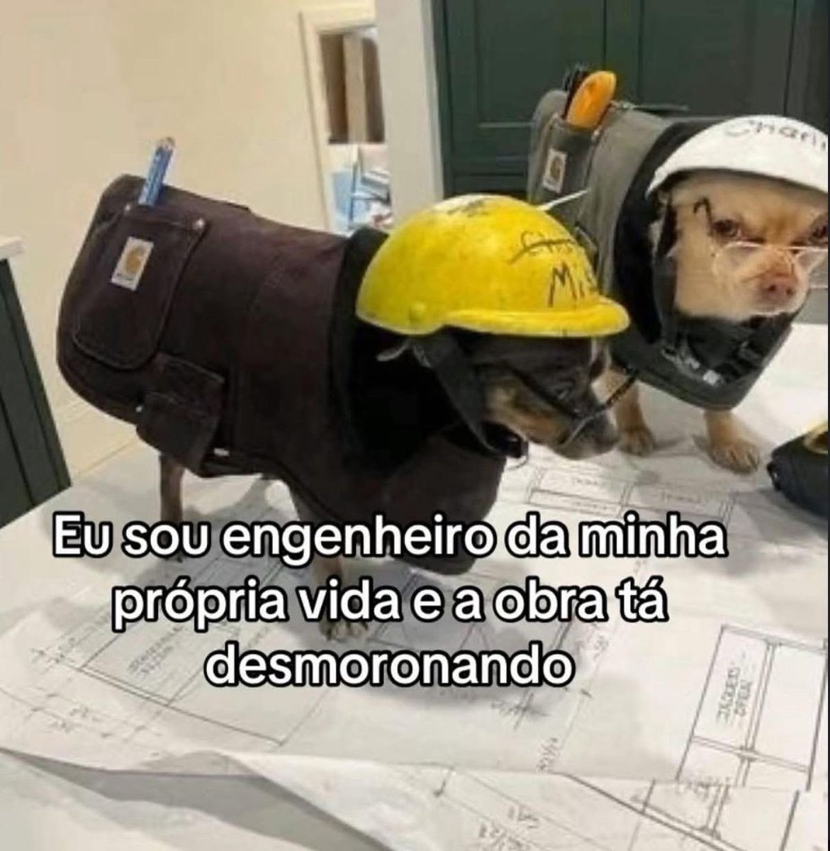 Pagina lixo (@paginalixo1) on Twitter photo 