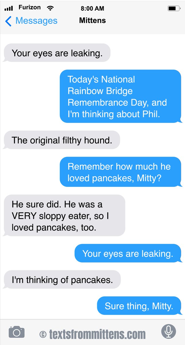 Texts from Mittens:  Bridge                  
Order books and calendars anywhere you buy them! (also, there's a link in bio) Texts from Mittens, copyright 2013-2025  #textsfrommittens