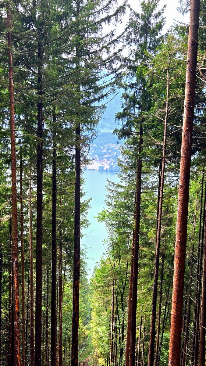 rosajeruszka's tweet photo. Here I sit beneath a tree.
Heartbeat calm.
Soul hums free.
An amazing 👏 🌎 mountains and lake view 🌬🌤🌄⛰️🌲💚🏞🌊
#Neureuth ,#Tegernsee 🌄🌊🇩🇪 https://t.co/mavvj8fpJi