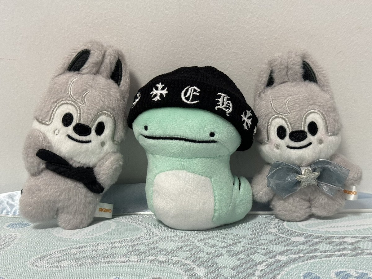 是灿灿本人🐺✨