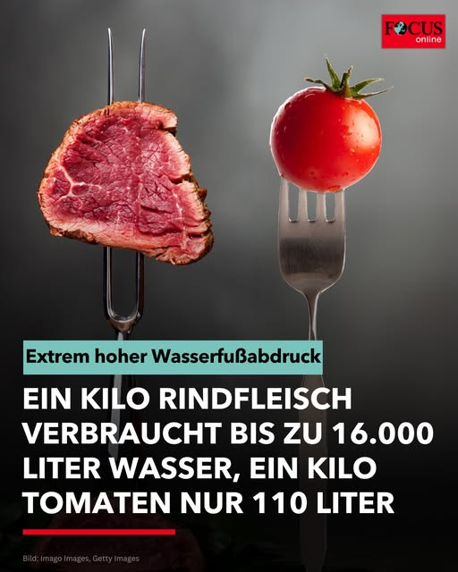 Dr. Markus Krall tweet media