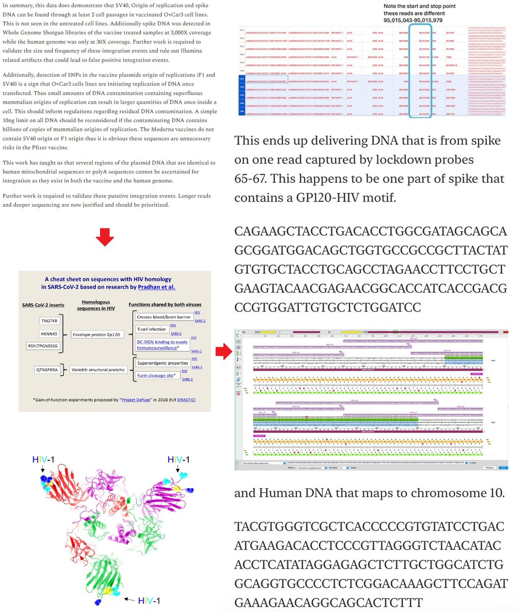 Tom Czerniawski (@blacktomthepyr8) on Twitter photo <a href="/AndrewZywiecMD/">Andrew Zywiec, M.D.</a> Oh, and it is basically HIV. Well, bits of HIV, that have integrated. (The ones the S protein was built out of.) <a href="/AndrewZywiecMD/">Andrew Zywiec, M.D.</a> Oh, and it is basically HIV. Well, bits of HIV, that have integrated. (The ones the S protein was built out of.)