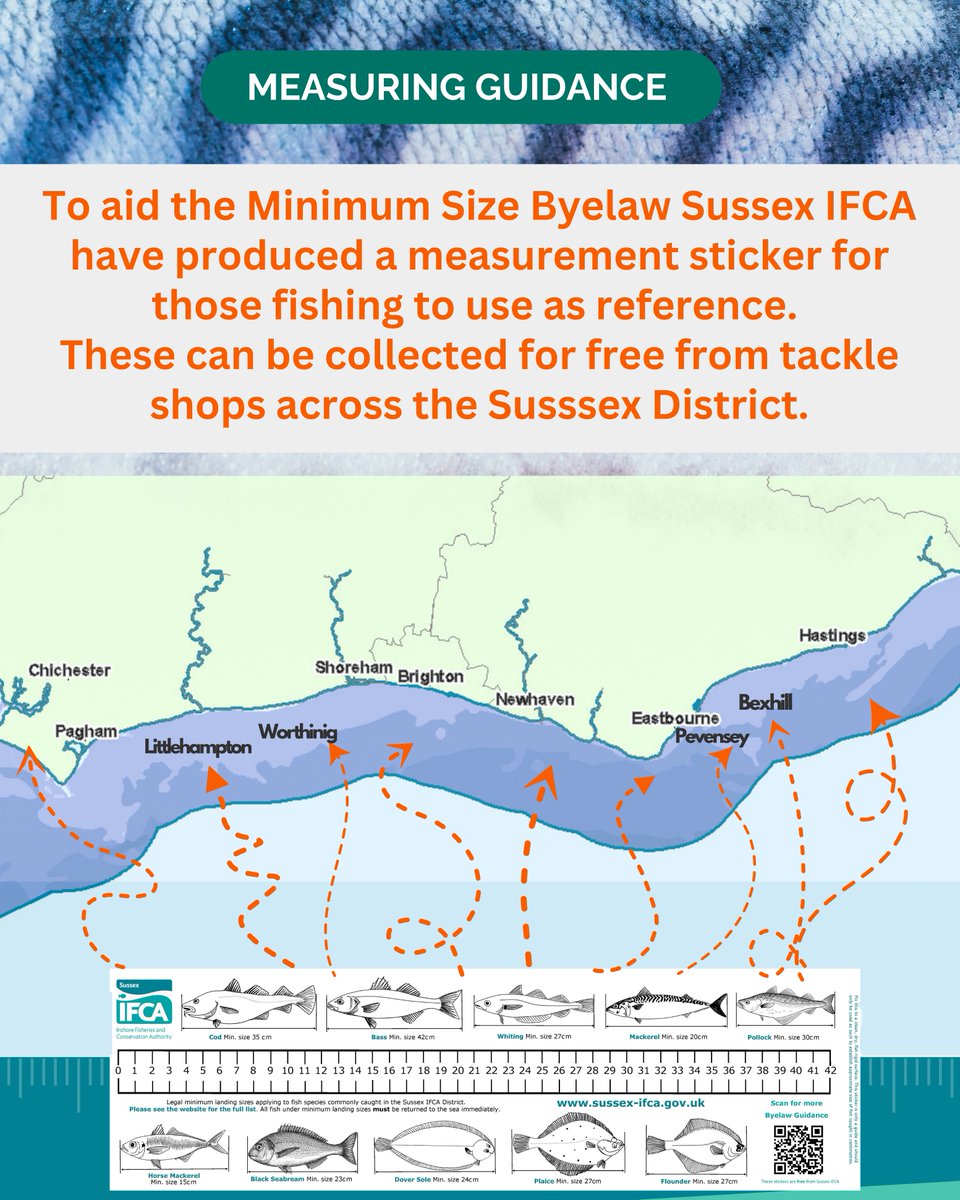 Reminder - The Minimum Size Byelaw applies to both #commercial and #recreational #fishing. IFCOs recently carried out 23 checks in #Newhaven, finding 3 minor infringements.
Free measurement stickers are available at tackle &amp; bait shops. More info: sussex-ifca.gov.uk/regulations