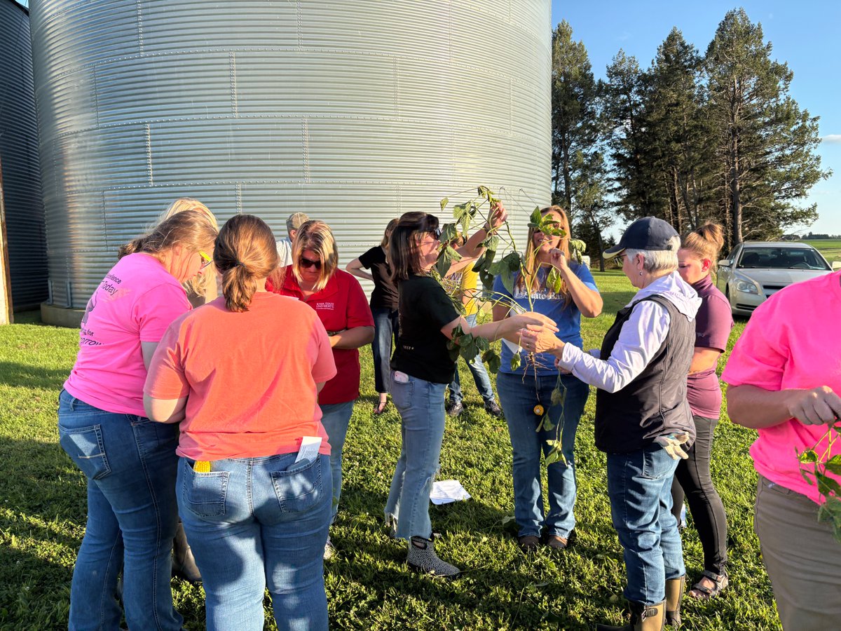 nciacrops's tweet image. Last night was a beautiful evening for Agronomy in the Field in Franklin Co. We did yield estimates, checked stalk integrity, and continued learning about crop diseases.  I've truly enjoyed working with this cohort of women.  #extensionlife  #strongiowa