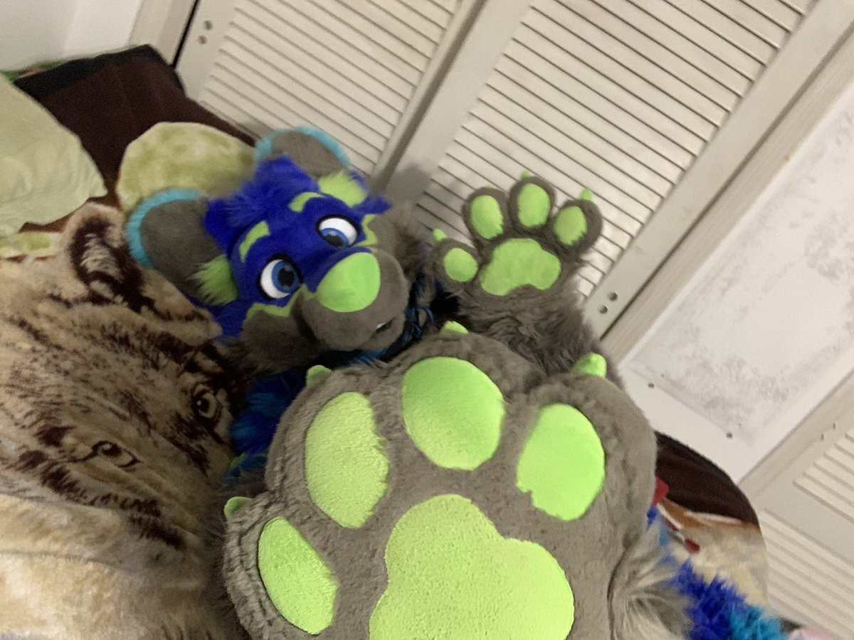 RiggyFolf's tweet image. &quot;Hi guyts&quot; 

Day 27 of #Pawgust