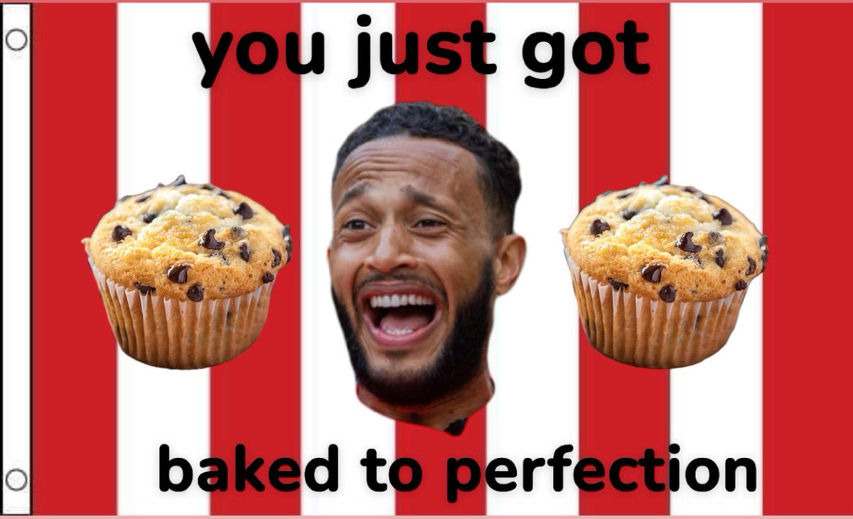 oatcakelover911 tweet media