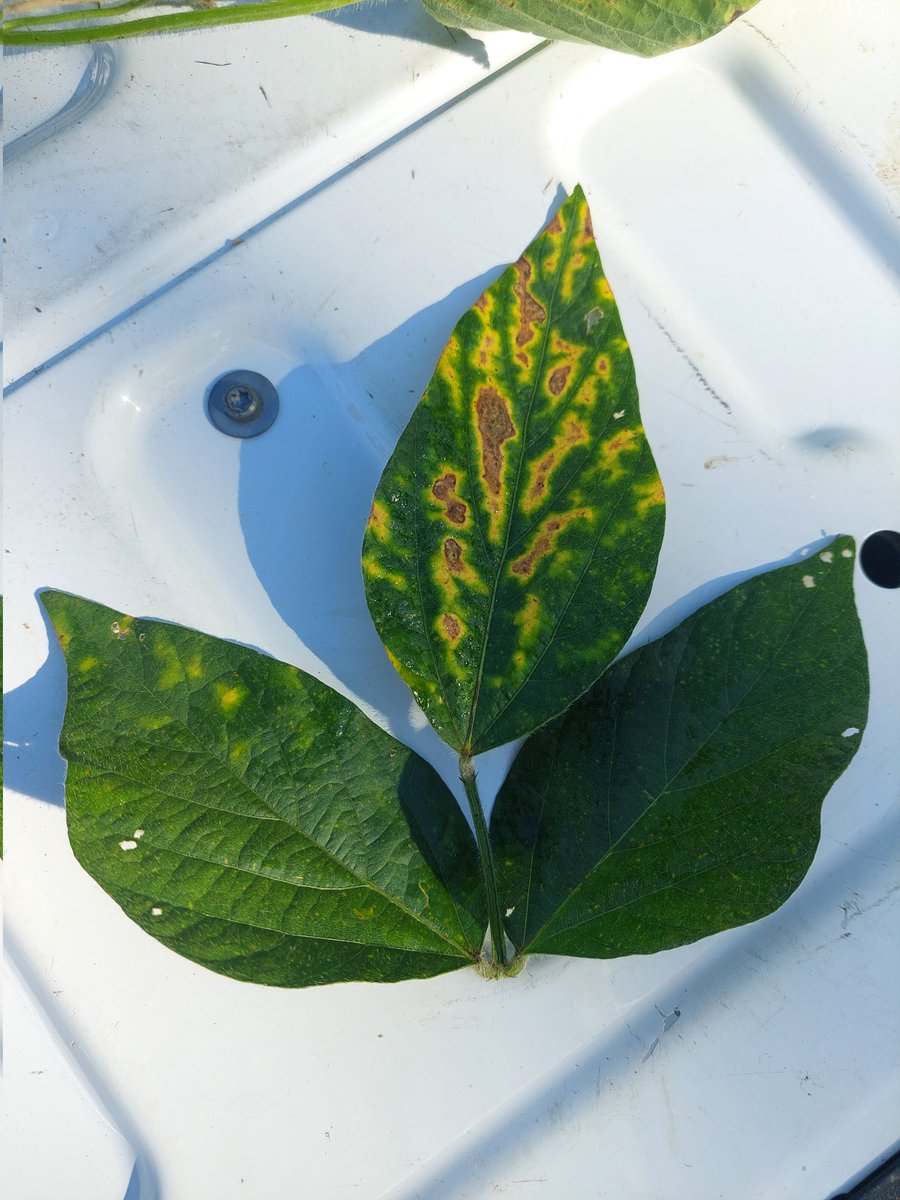 heather miller tweet media