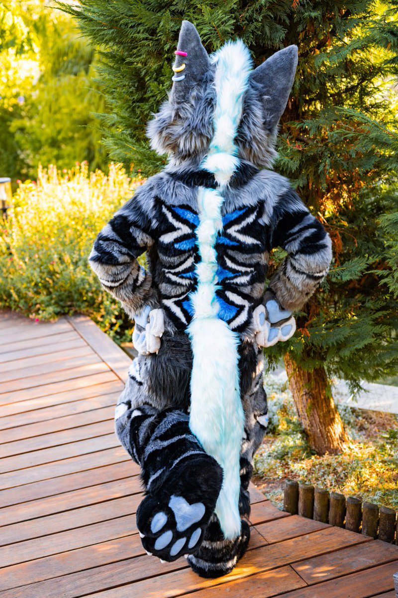 HybridLabs Fursuits ๐บ๐ (@hybridlfursuits) on Twitter photo Thrilled to share Sollusโs completed full suit! He will debut at Eurofurence so go ask for a hug!
Thank you <a href="/MadeInBatter/">Artemis ๐ฆ ๐ EF29</a> โจ
#fursuit #fursuitmaking Thrilled to share Sollusโs completed full suit! He will debut at Eurofurence so go ask for a hug!
Thank you <a href="/MadeInBatter/">Artemis ๐ฆ ๐ EF29</a> โจ
#fursuit #fursuitmaking
