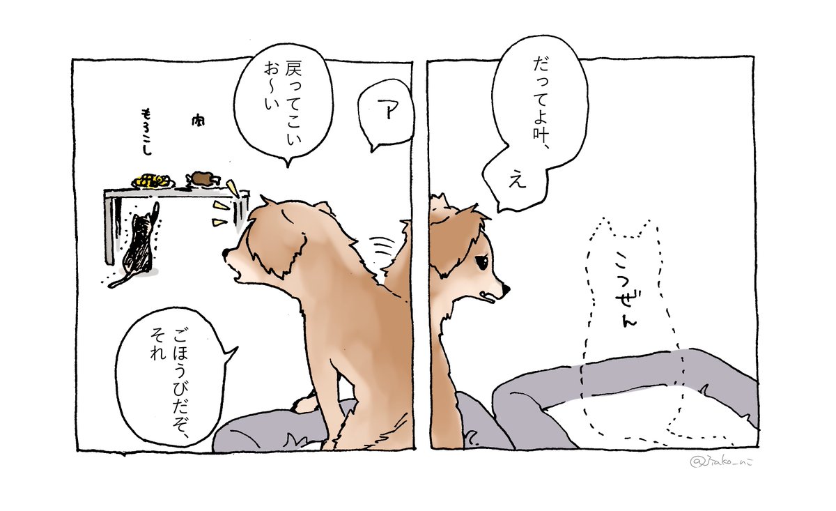 45-46p くろにゃん