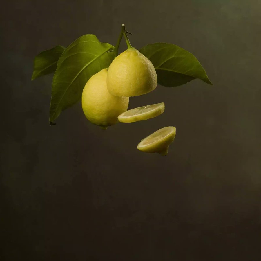 Flying Citrus, 2017 • Marie Cecile Thijs •