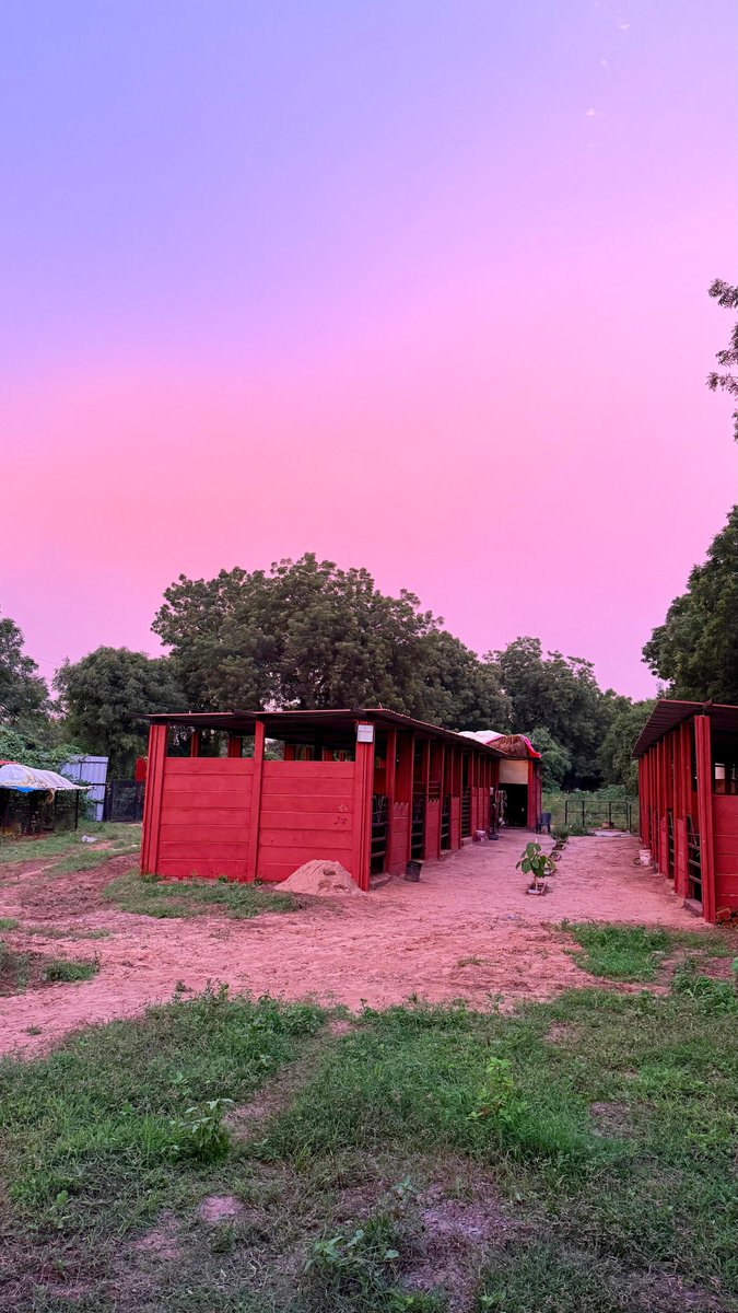 nanzanic's tweet image. Pink skies 💓 

#Ahmedabad #pinksky #clouds #sky #naturephotography #photography #india #incredibleIndia