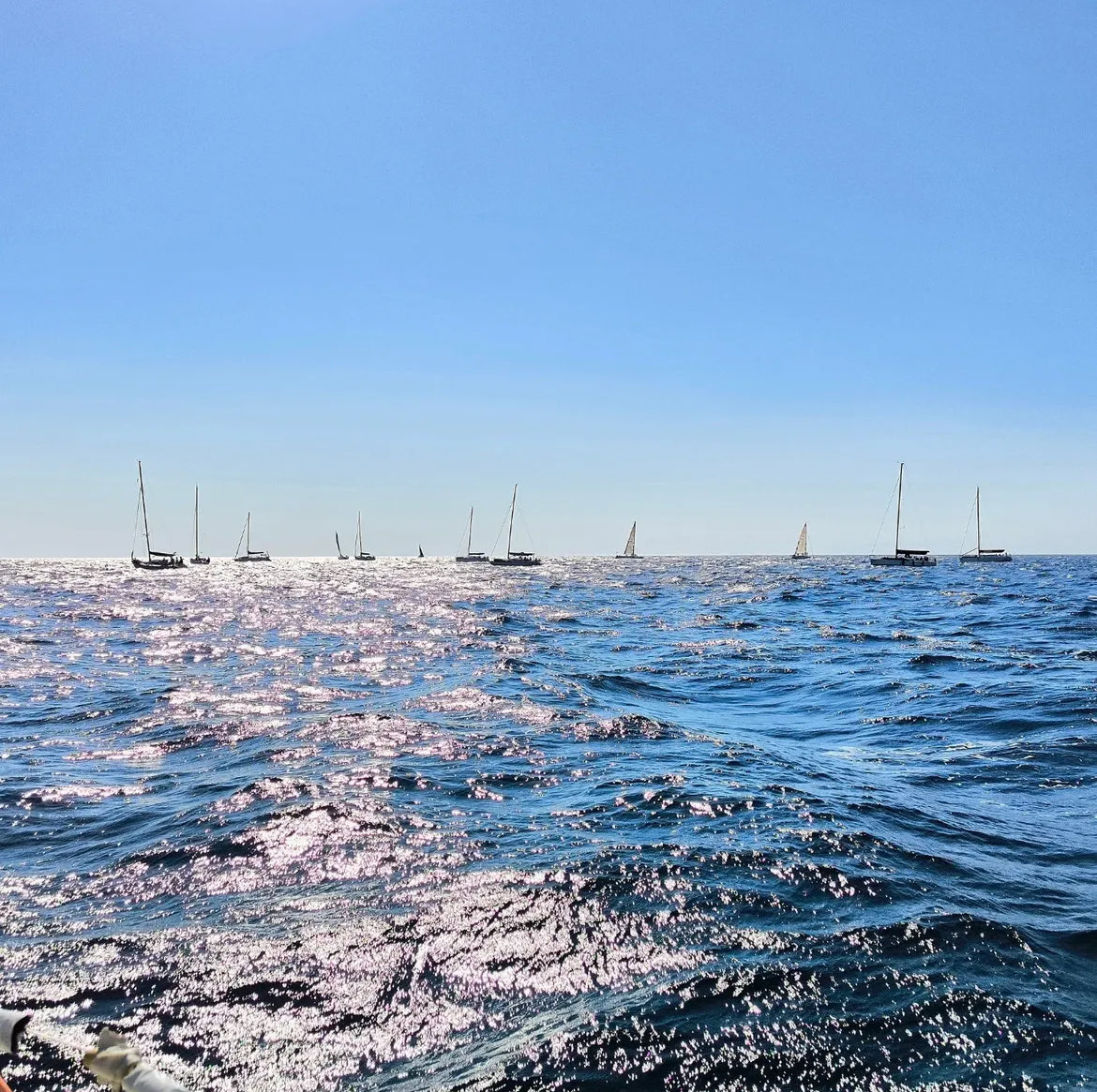 PressGreekEmbas's tweet image. 24th International Aegean Offshore Sailing Race ⛵️
 "AEGEAN REGATTA 2025"

until 30.08.2025
Myrina #Lemnos -Agios Efstratios- Plomari Lesvos -Mytilene #Lesvos

🔗aegeanregatta.gr/en/home/

#sailing #onboard ⚓️
#aegeanregatta2025 #aegeanregatta
#falirosailing @nopfalirou 🌊