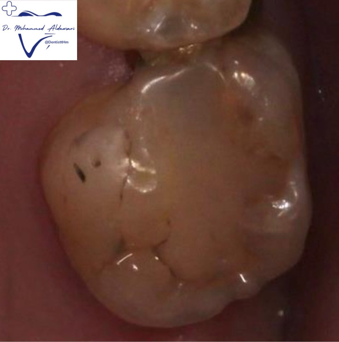 Dr.Mohammed tweet media