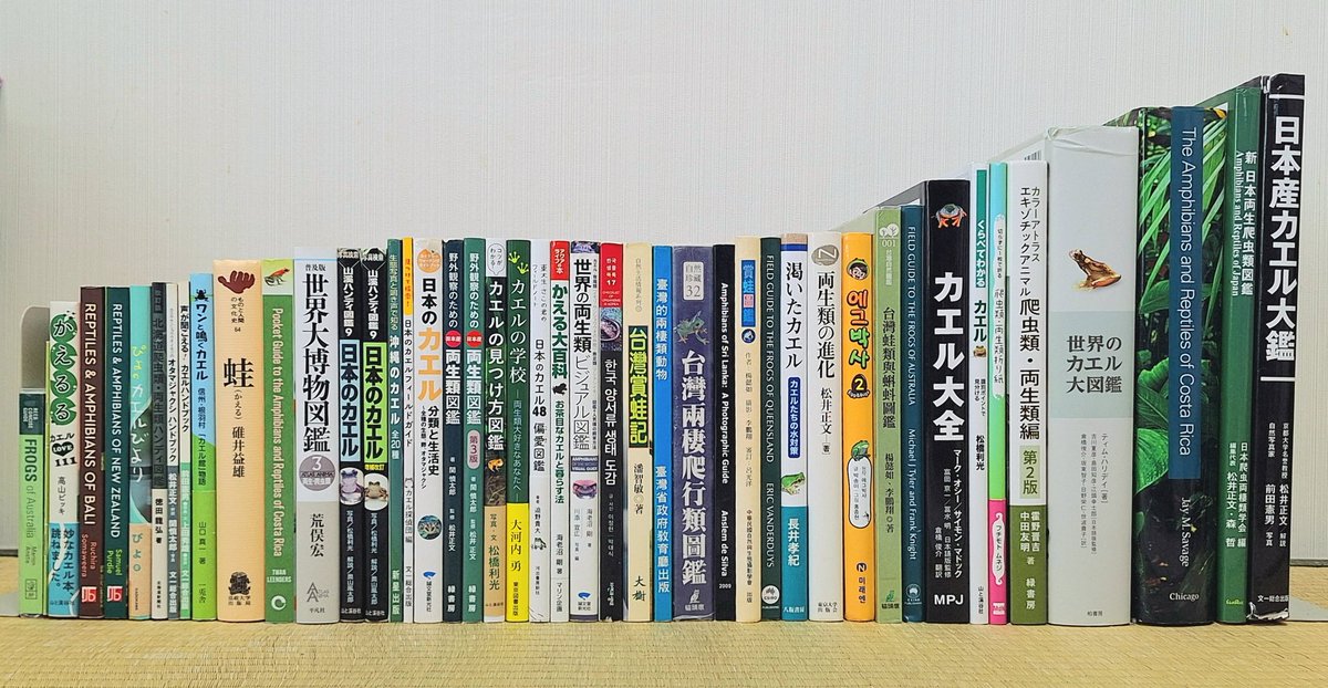 我が家のカエル本 大集合！

どれもカエルの魅力が詰まった最高の本なのですが、特にオススメの4冊を「ヤマケイの本」さんで紹介させていただきました🐸