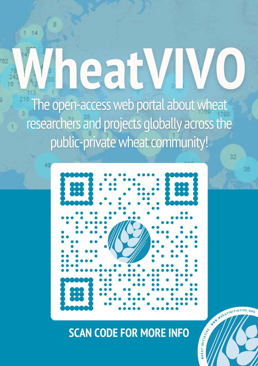 WheatInitiative's tweet photo. 🚨 Abstracts for the 3rd International Wheat Congress (IWC2024) in Perth are now live on #WheatVIVO!
Explore talks, posters &amp; workshops 👉 https://t.co/ucnCm8eXhp
Wheat researchers: consider joining the WheatVIVO community 🌾
#IWC2024Perth #IWC2026Bologna  #WheatConnect https://t.co/FjvSX5cSki