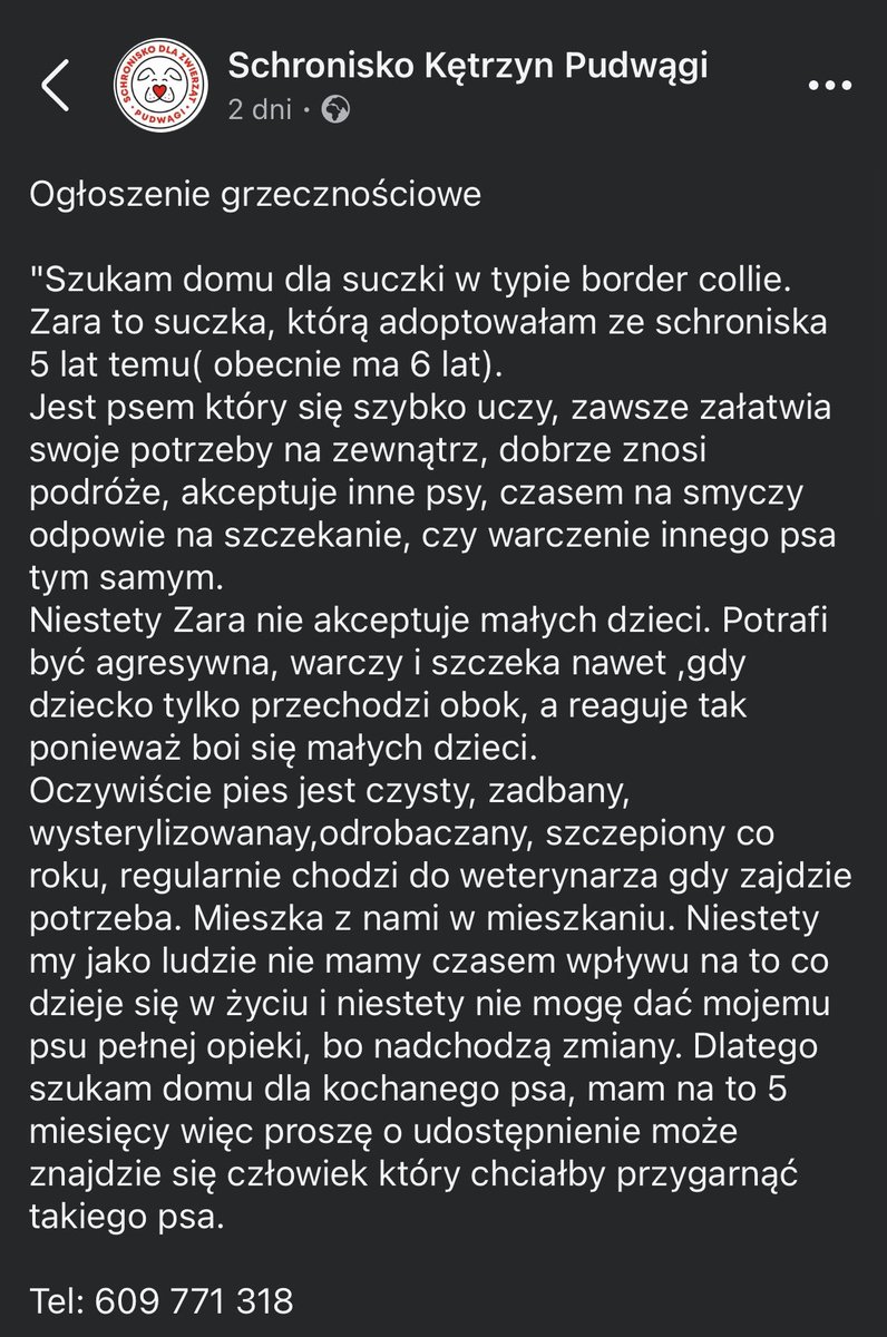 Ka SzaLew 📚 tweet media