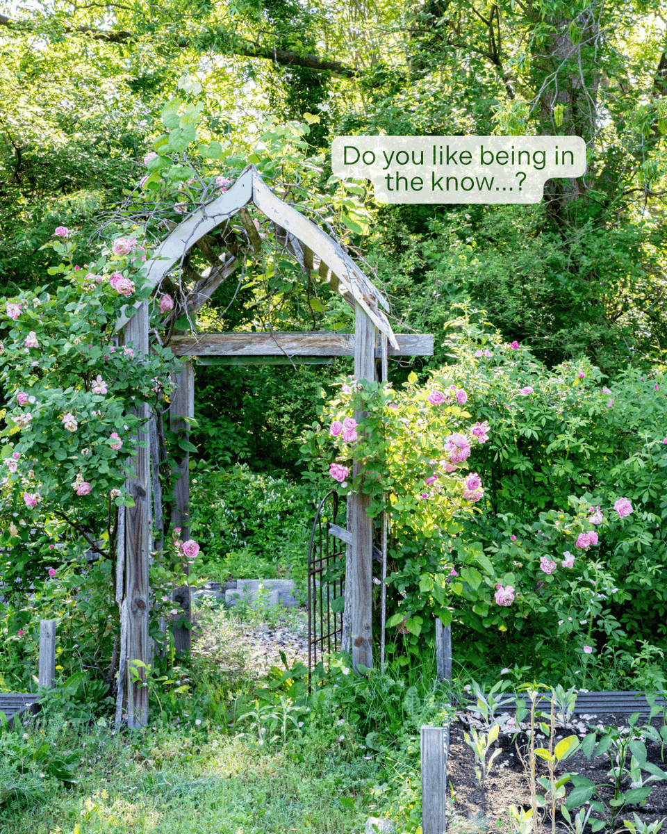 Eastern Shore Land Conservancy tweet media