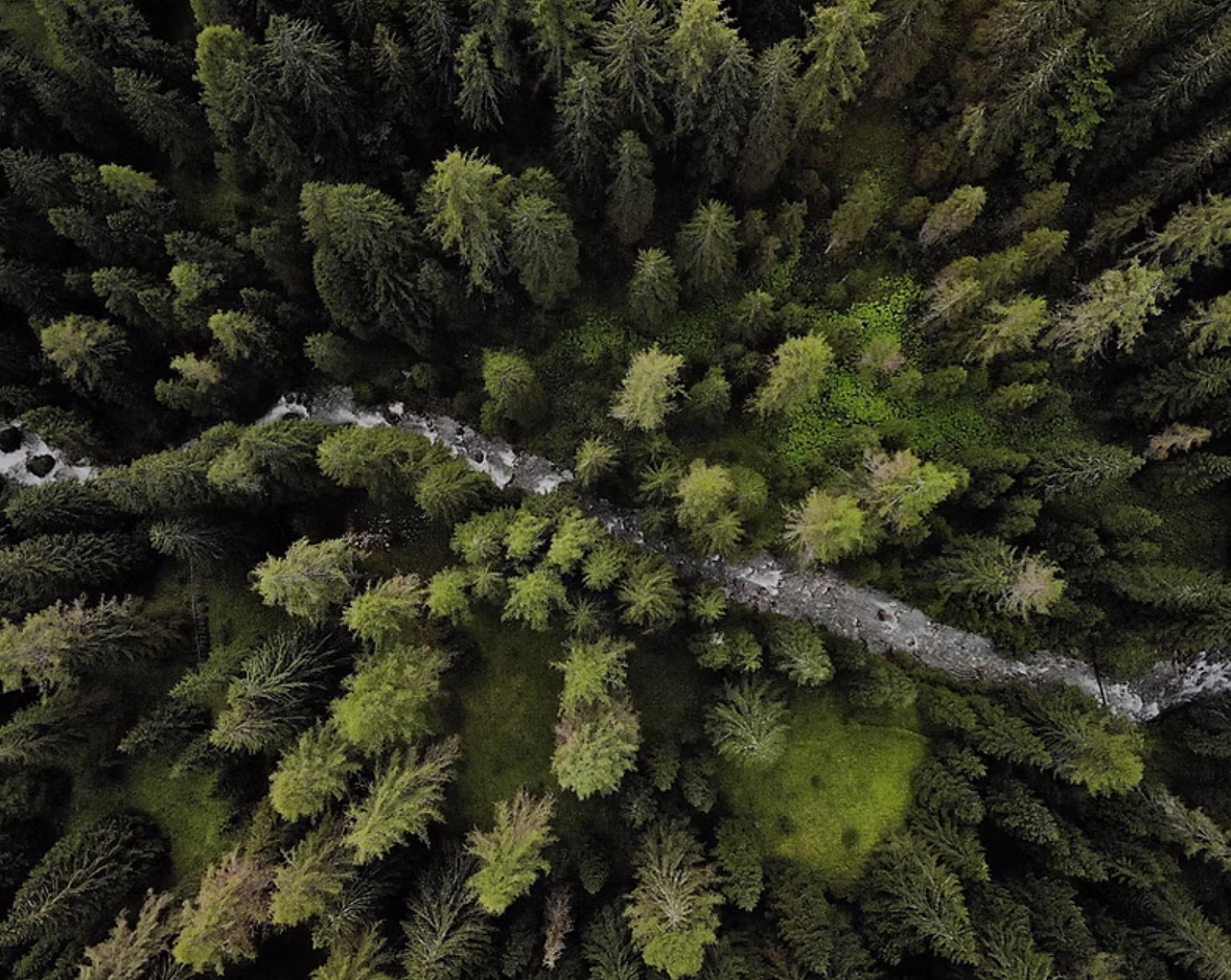 BChismire's tweet image. A Screened Word Story for August:

What’s more unimaginable?The one slip-up that’d lead straight to tragedy?Or what happens after you experience the ‘tragedy&apos; for yourself?

screenedword.com/post/slip-and-…
#ScreenedWord #ScreenedWordStories #Fiction #OutOfBodyExperience #PacificNorthwest