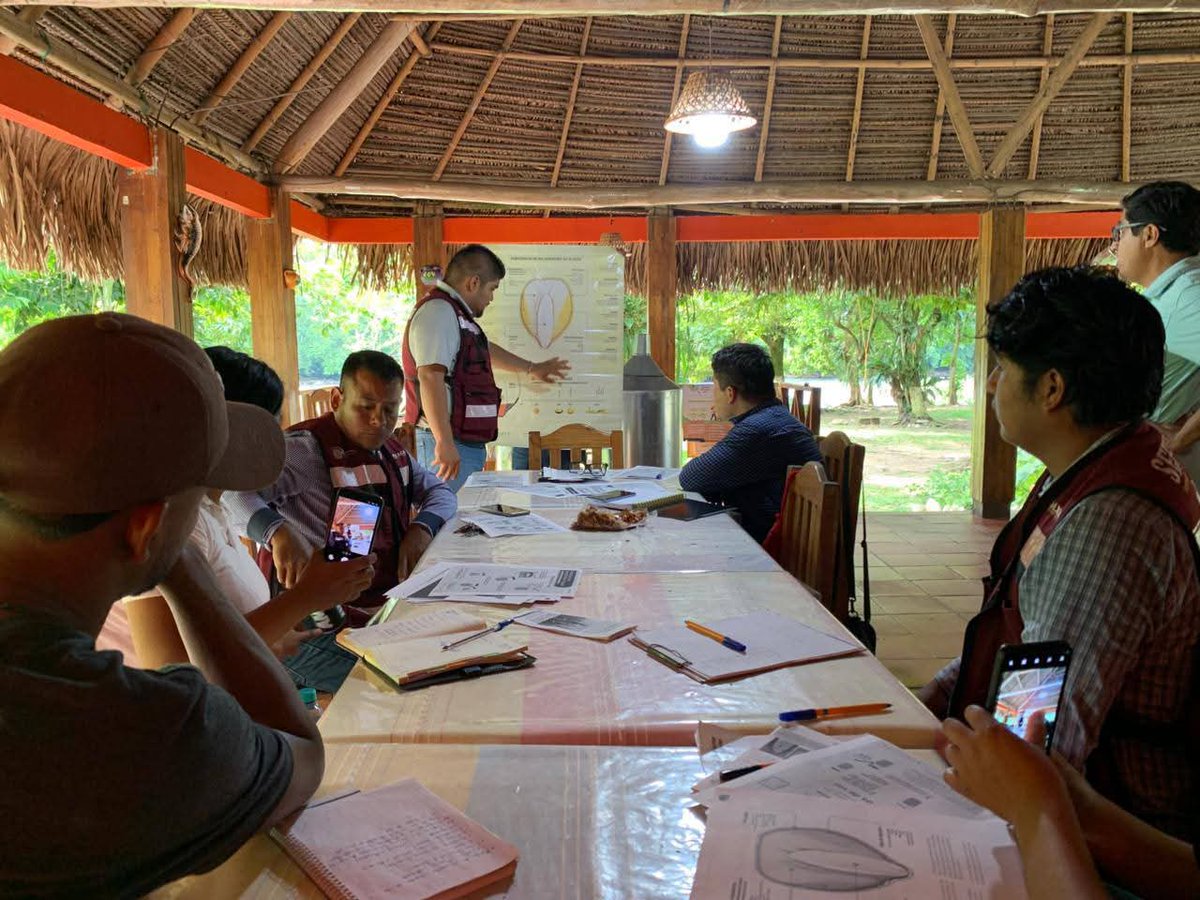 SEFADER_GobOax's tweet photo. CAPACITAMOS A TÉCNICOS DE CAMPO EN MANEJO POSCOSECHA PARA PRESERVAR LA CALIDAD DE GRANOS Y SEMILLAS

Como parte de las estrategias de mejora continua del @GobOax, se llevó a cabo en San Mateo Yetla, San Juan Bautista Valle Nacional, la capacitación “Manejo poscosecha de granos y semillas”, dirigida a los técnicos de campo de la Región R-9 Cuenca del Papaloapan–Sierra de Flores Magón.

El objetivo de esta acción es brindar alternativas innovadoras para la preservación y el adecuado almacenamiento de granos y semillas, asegurando que puedan destinarse a la comercialización o al consumo familiar con calidad y seguridad alimentaria.

La capacitación fue impartida por el Ing. José Manuel Sernas Carmona, especialista en bancos comunitarios de semillas, en coordinación con el Biol. David Velásquez Hernández, coordinador regional, y el Ing. Gerardo Andrés Manuel Osorio, formador de técnicos, con la participación del Biol. Emérit Meléndez López enlace institucional de la subsecretaria de Seguridad Alimentaria.
 
📌 Beneficios del manejo poscosecha:
✅ Preservación de la calidad: mantiene la integridad física y nutricional del grano.
✅ Reducción de pérdidas: se evita el deterioro ocasionado por hongos e insectos.
✅ Mejor comercialización: el grano bien conservado obtiene un mejor valor en el mercado.

#FloreceElCampoOaxaqueño