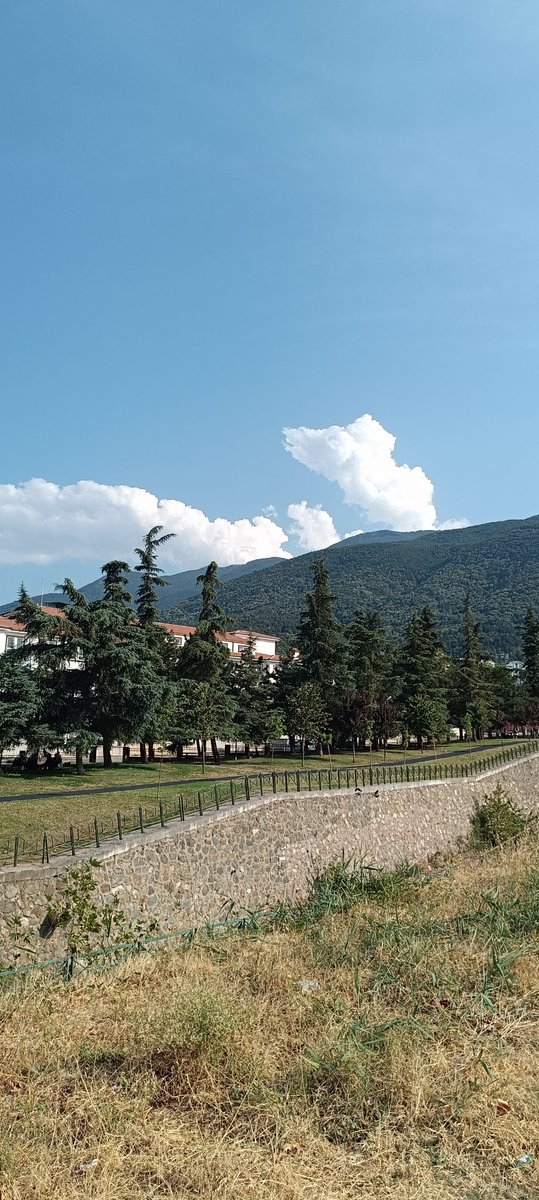 Yeşil Bursammmm🤗