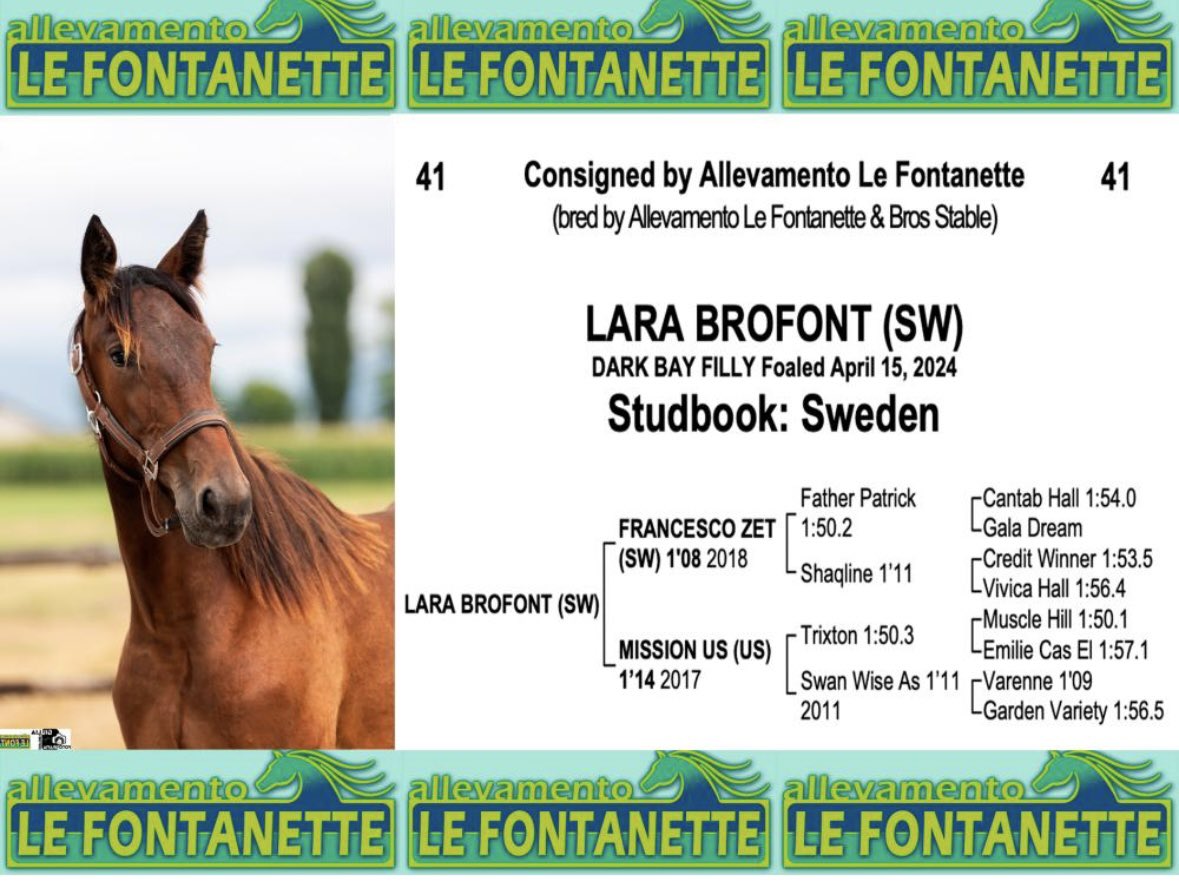 Bros Stables tweet media