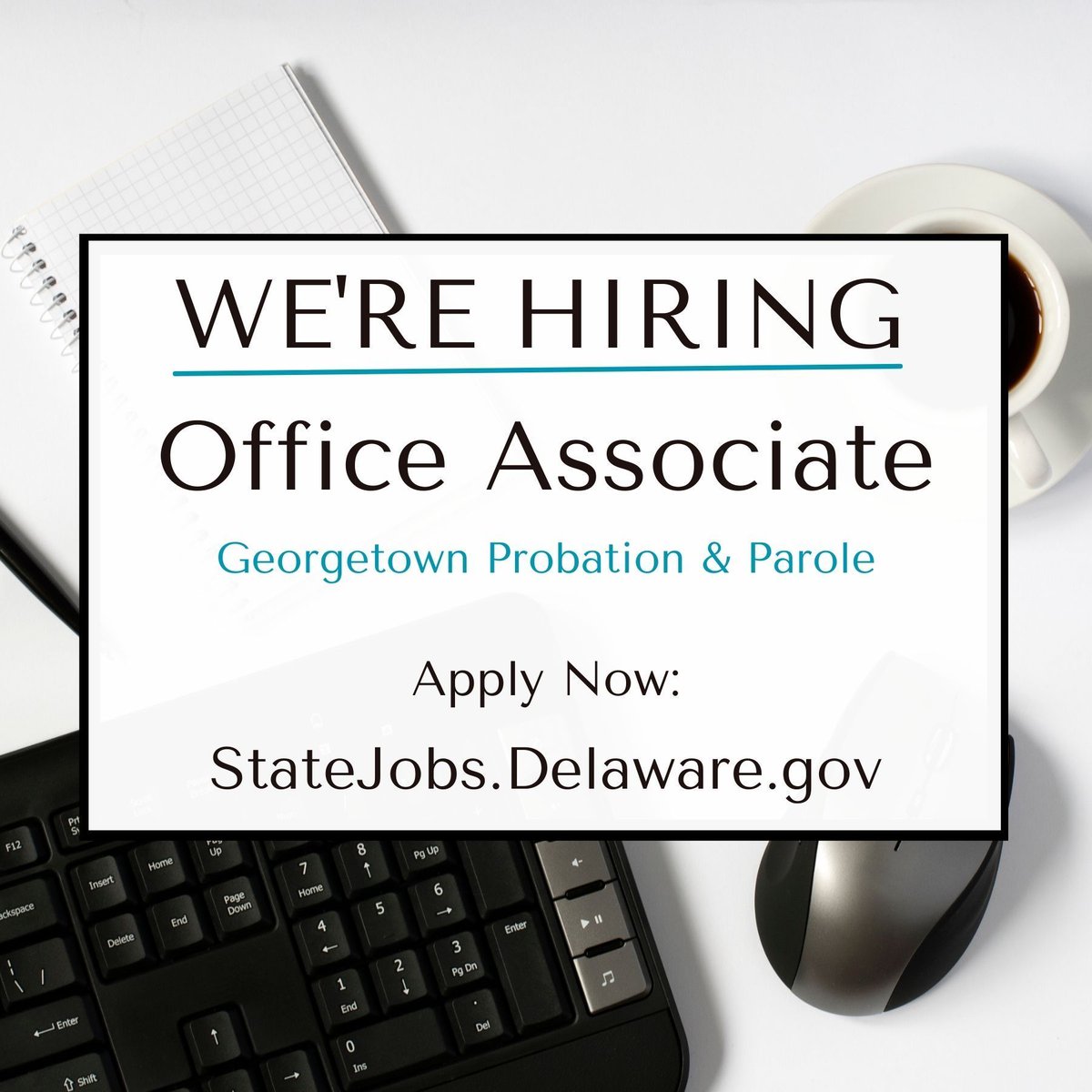 DECorrection's tweet image. Looking for an entry-level career opportunity with the Delaware DOC?
Georgetown Probation &amp;amp; Parole is seeking an Office Associate to join our team!

This position is the first level of office associate work, 

Apply today:🔗 jobapscloud.com/DE/?Keyword=&amp;amp;L…

#DelawareDOC #JoinDDOC