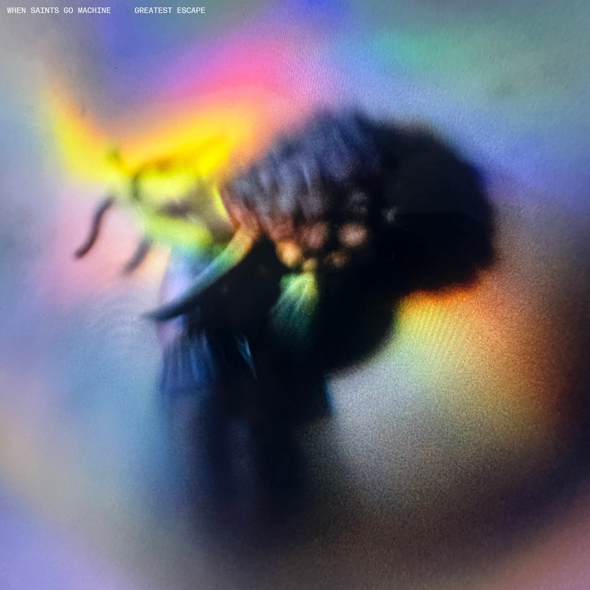 When Saints Go Machine tweet media