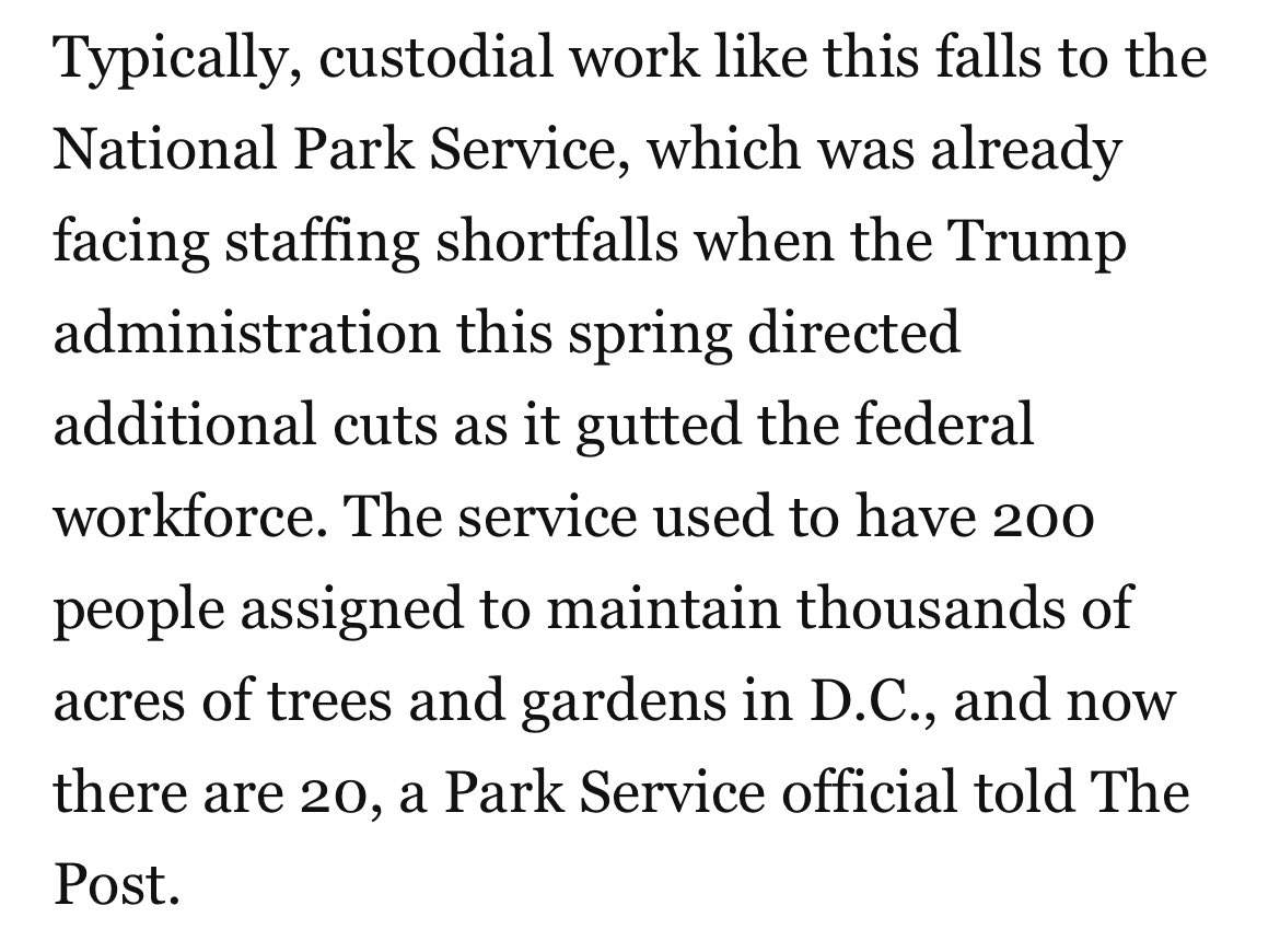 MerylKornfield's tweet image. 