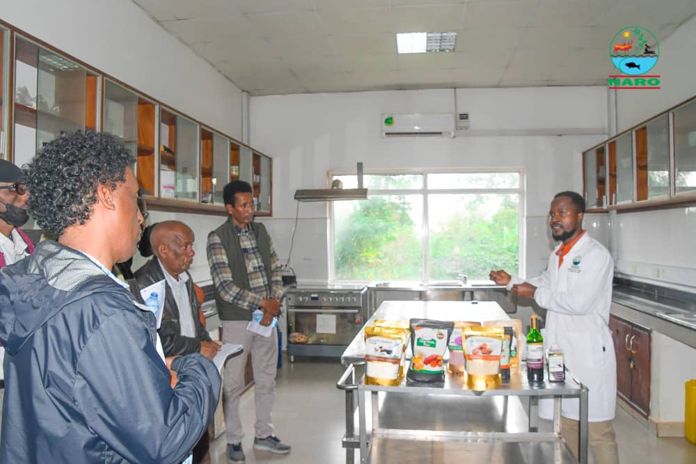 NARO-NaCRRI-Namulonge (@naro_nacrri) on Twitter photo Today, <a href="/NARO_NaCRRI/">NARO-NaCRRI-Namulonge</a> welcomed a delegation from #Eritrea’s Ministry of Agriculture.
Facilitated by NOGAMU_Uganda, the tour spotlighted #Uganda’s #Agri-innovation from #Cropresearch to #Climatesmart farming.
Deepening #Regional #Collaboration and #Knowledge sharing. Today, <a href="/NARO_NaCRRI/">NARO-NaCRRI-Namulonge</a> welcomed a delegation from #Eritrea’s Ministry of Agriculture.
Facilitated by NOGAMU_Uganda, the tour spotlighted #Uganda’s #Agri-innovation from #Cropresearch to #Climatesmart farming.
Deepening #Regional #Collaboration and #Knowledge sharing.