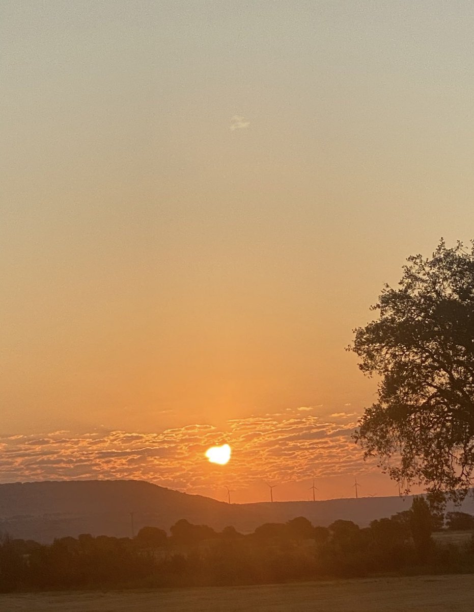 Marta 🇪🇸 tweet media