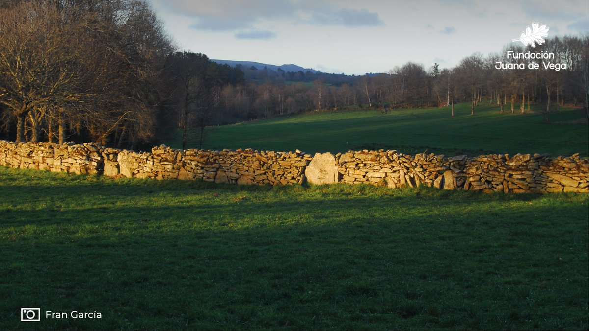 🤝 Desde aquí reiteramos o noso apoio ás persoas afectadas polos incendios, e poñemos ao seu servizo o coñecemento técnico da <a href="/fjuanadevega/">Fundación Juana de Vega</a> en #XestiónForestal e #DesenvolvementoRural para seguir traballando por un territorio máis resiliente fronte ao lume. É traballo de todos.💚